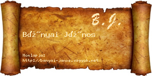 Bányai János névjegykártya